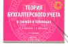 Теория бухгалтерского учета в схемах и таблицах