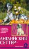 Английский сеттер. Стандарты. Содержание. Разведение