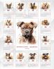 Календарь настенный, перекидной "Портреты собак - акварелью" на 2026 год