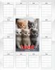 Календарь-планер настенный, перекидной "Очаровательные котятки" на 2026 год