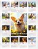 Календарь настенный, перекидной "Тайная жизнь корги" на 2026 год