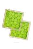 Донышки для вязания, заготовки для рукоделия, дно корзин, 19,8 х 19,8 см, квадрат, лайм
