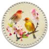 Донышки для вязания, заготовки для рукоделия, дно корзин, 19,8 см, круги, 8 мм, птицы