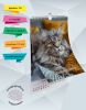 Календарь настенный, перекидной "Прекрасный Мейнкун" на 2027 год