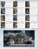 Настольный календарь-домик "Прекрасный Мейнкун" на 2027 год