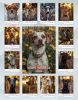 Календарь настенный, перекидной "Dog's profile" на 2027 год