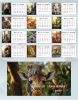 Настольный календарь-домик "Baby animals" на 2027 год