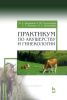 Практикум по акушерству и гинекологии