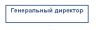 Штамп Генеральный директор