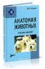 Анатомия животных