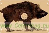 Мишень Кабан из гофрированного картона в натуральную величину