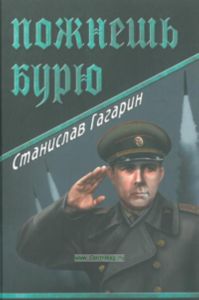 Пожнешь бурю: роман. Серия: Военные приключения