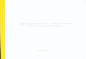 Журнал испытаний компонентов сталефибробетонной смеси (при входном контроле качества) Форма Ж 2.