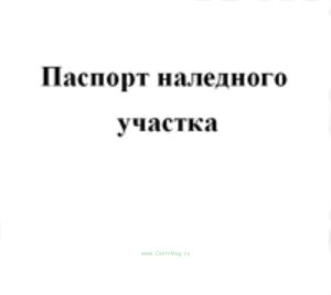 Паспорт наледного участка
