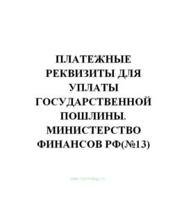 Платежные реквизиты для уплаты государственной пошлины. Министерство финансов РФ(№13)