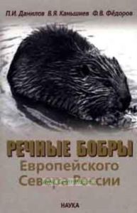 Речные бобры европейского севера России