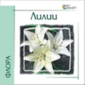 Лилии на CD