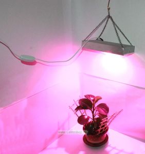 Фито прожектор для выращивания растений
