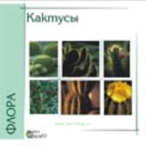 Кактусы на CD