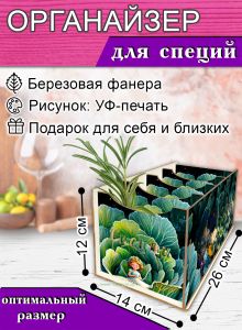 Органайзер для специй Дюймовочка, 4 отсека, 12х14х26 см