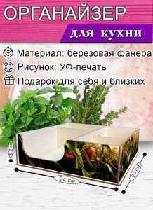 Органайзер барный для кофе, чая, специй и салфеток Земляника (мини), 20 х 24 х 6,2 см, 5 отсеков