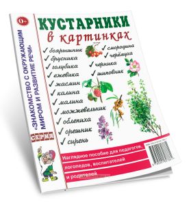 Кустарники в картинках. Наглядное пособие для педагогов, логопедов, воспитателей и родителей