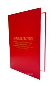 Свидетельство об освоении дополнительных предпрофессиональных общеобразовательных программ в области искусств, А5, красный бумвинил