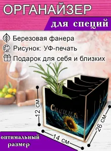 Органайзер для специй Галактика, 4 отсека, 12х14х26 см