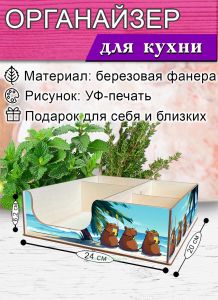 Органайзер барный для кофе, чая, специй и салфеток Капибара (мини), 20 х 24 х 6,2 см, 5 отсеков