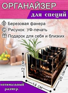 Органайзер для специй Пикник, 4 отсека, 12х14х26 см