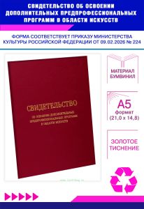Свидетельство об освоении дополнительных предпрофессиональных программ в области искусств, А5, бордовый бумвинил (Приказ Минкультуры РФ от 09.02.2026
