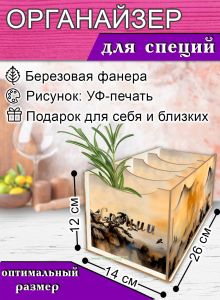 Органайзер для специй Сосны, 4 отсека, 12х14х26 см