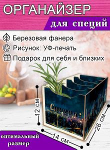 Органайзер для специй Ночной город, 4 отсека, 12х14х26 см