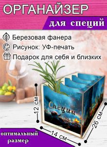 Органайзер для специй Дружба, 4 отсека, 12х14х26 см