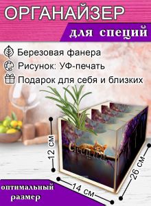 Органайзер для специй Котенок, 4 отсека, 12х14х26 см