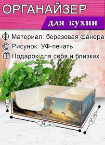 Органайзер барный для кофе, чая, специй и салфеток Воздушный змей (мини), 20 х 24 х 6,2 см, 5 отсеков