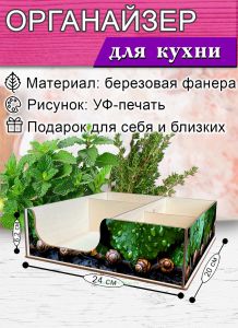 Органайзер барный для кофе, чая, специй и салфеток Улитки (мини), 20 х 24 х 6,2 см, 5 отсеков