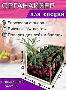 Органайзер для специй Ягоды, 4 отсека, 12х14х26 см