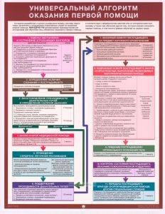 Плакат Универсальный алгоритм оказания первой помощи