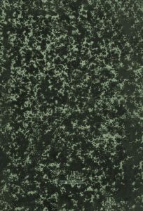 История Государства Российского. Том V