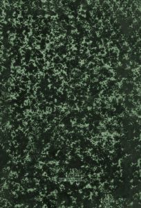 История Государства Российского. Том VI