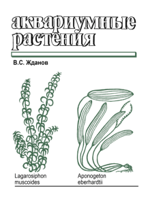 Аквариумные растения