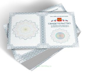 Свидетельство о профессии рабочего, должности служащего (бланк, двусторонний)