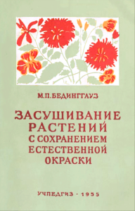 Засушивание растений с сохранением естественной окраски