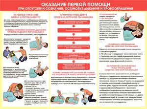 Плакат Оказание первой помощи при отсутствии сознания, остановке дыхания и кровообращения