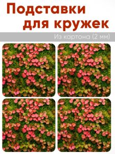 Подставки для кружек Лесной ковер, 4 шт (10 х 10 см), картон