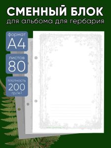 Сменный блок для альбома для гербария Березки, А4