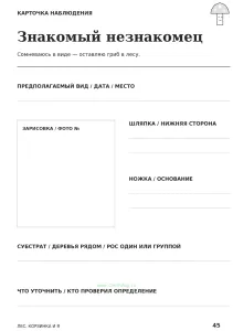 Дневник грибника "Царство грибов", А5