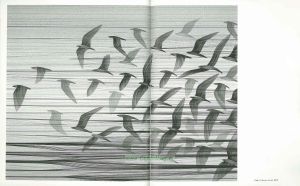 Такие разные птицы в произведениях искусства