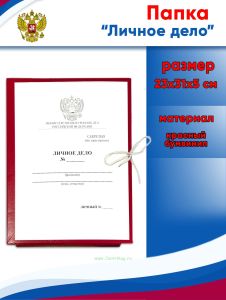 Папка красная Личное дело с гербом России, 23х31х5 см